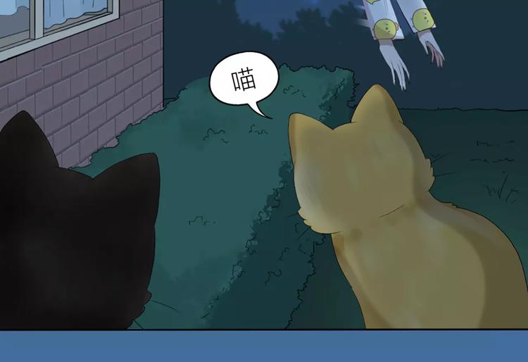 第20话 猫男的秘密38