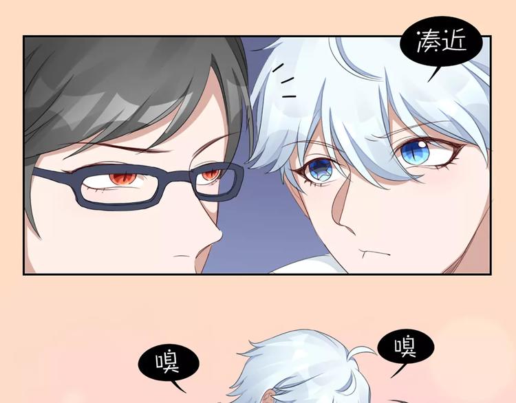 第31话 小奶猫变身小野猫？11