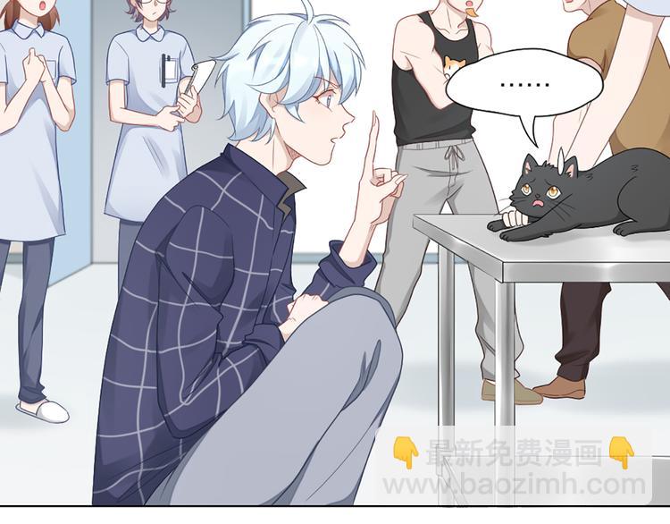 第58话 性感护工，在线撸猫48