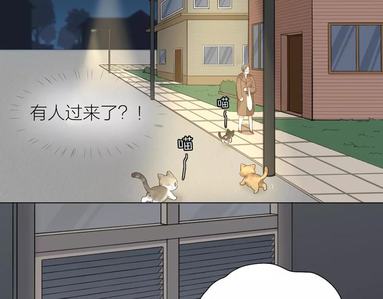 第20话 猫男的秘密53