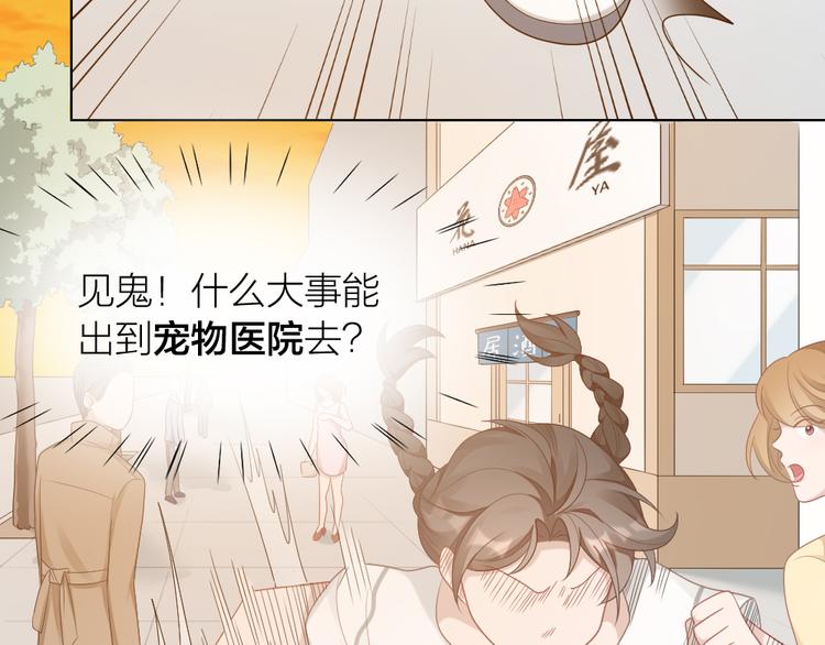 第58话 性感护工，在线撸猫72