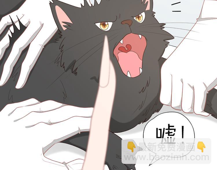 第58话 性感护工，在线撸猫46