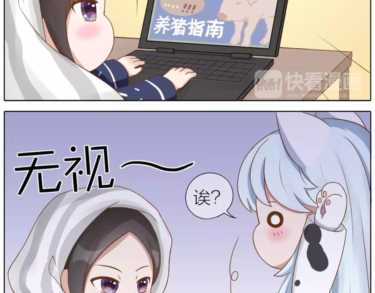 番外 养猫指南？4
