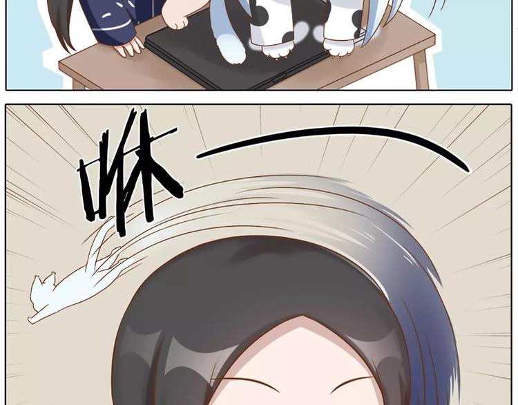 番外 养猫指南？15