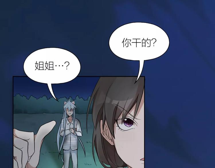 第13话 我的宠物，我来保护78