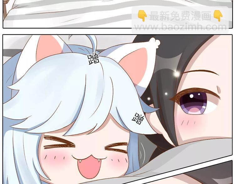 番外 养猫指南？24