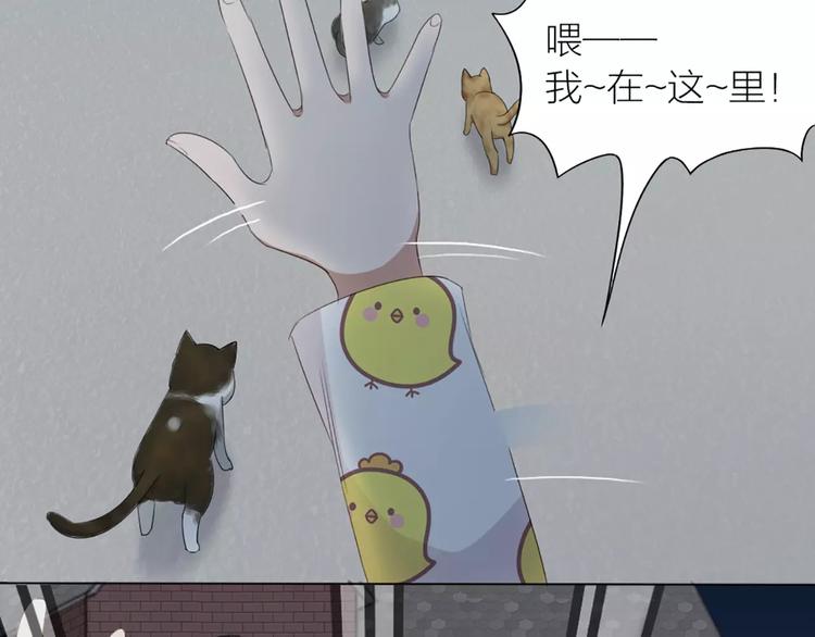 第20话 猫男的秘密66