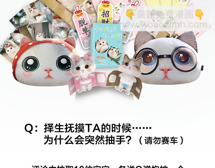 第3话 猫咪肚皮手感棒50