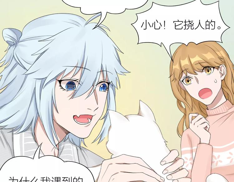 第23话 猫男的求爱方式20