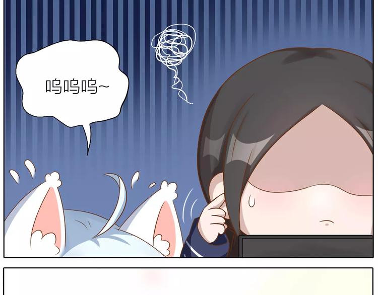 番外 养猫指南？18