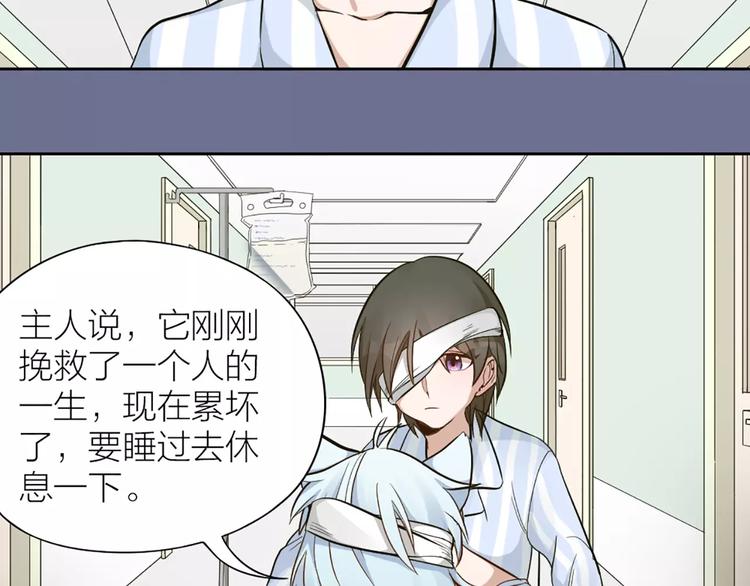 第11话 你是我的小可爱12