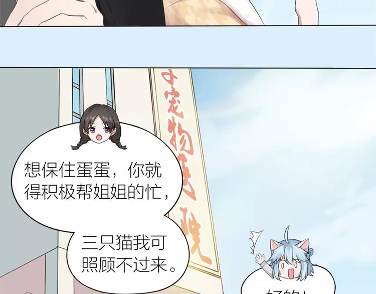 第23话 猫男的求爱方式5