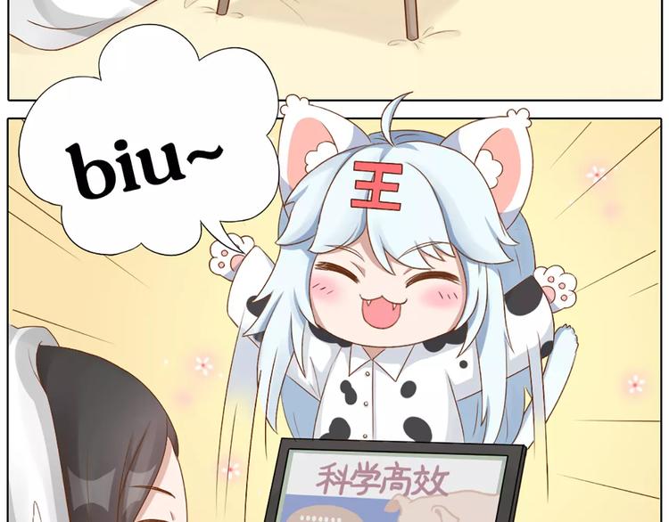 番外 养猫指南？3