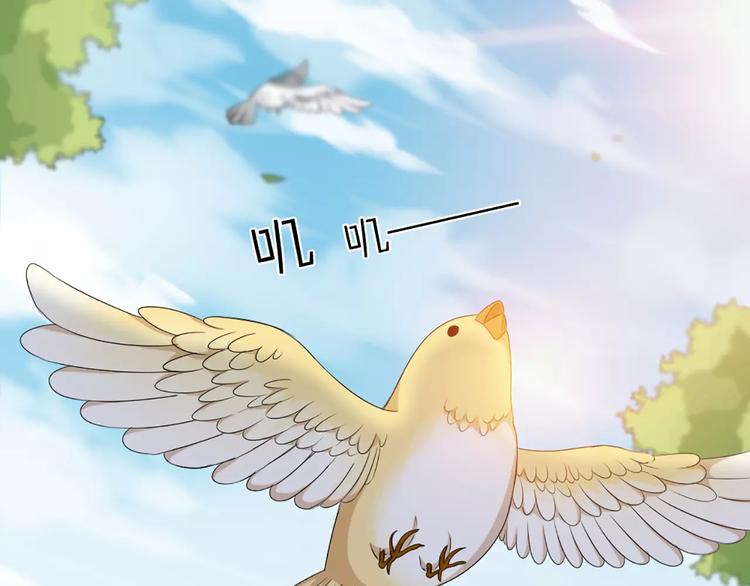 第35话 猫咪的坚持34