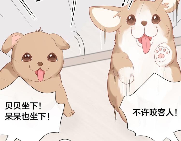 第72话 这就被家长承认了？！25