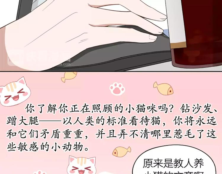 第8话 我的室友是只猫10