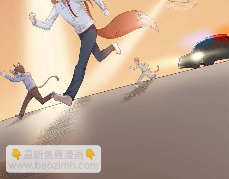 第51话 暗中调查81