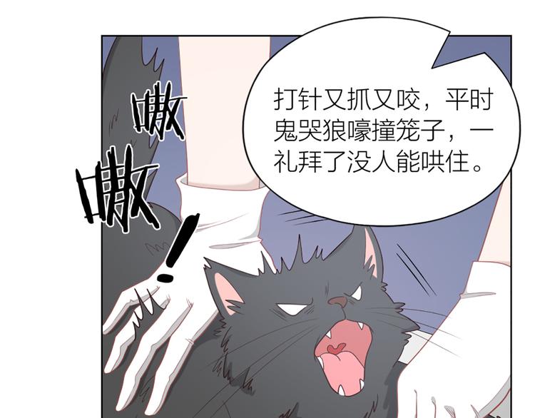 第58话 性感护工，在线撸猫42