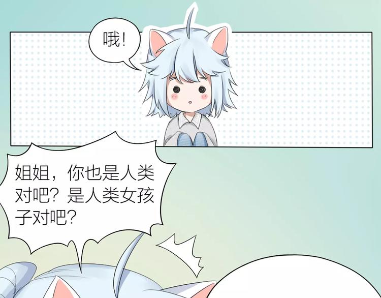 第23话 猫男的求爱方式41