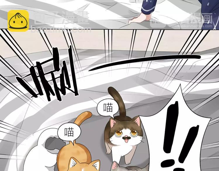 第21话 猫男的朋友们54