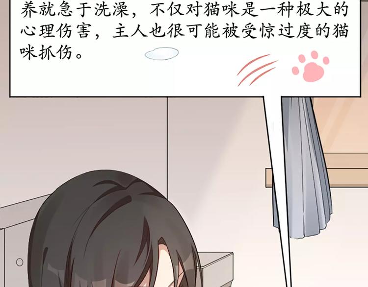 第8话 我的室友是只猫14