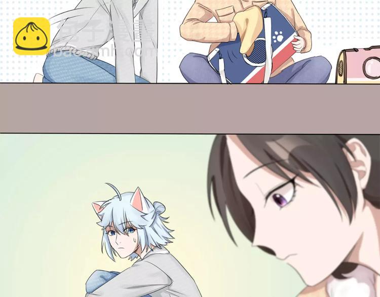 第23话 猫男的求爱方式45