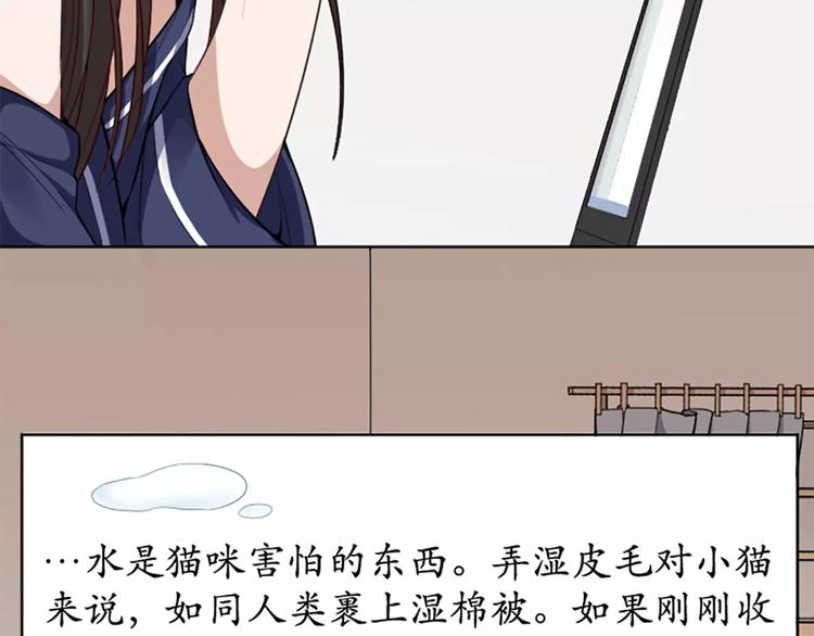 第8话 我的室友是只猫13