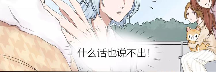 第23话 猫男的求爱方式11