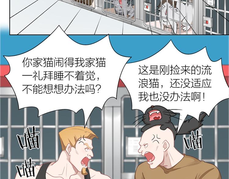 第58话 性感护工，在线撸猫39