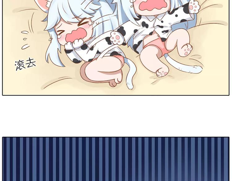 番外 养猫指南？17