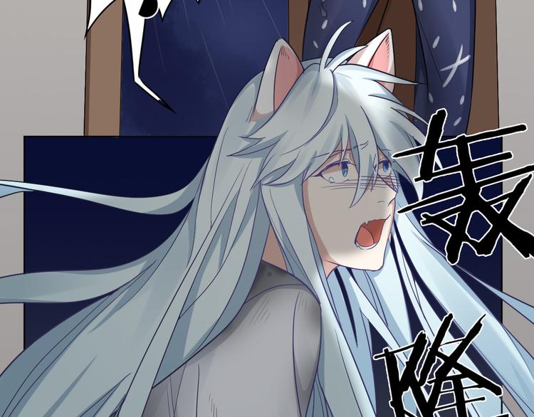 第3话 猫咪肚皮手感棒44