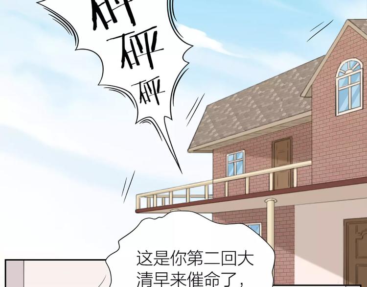 第31话 小奶猫变身小野猫？2