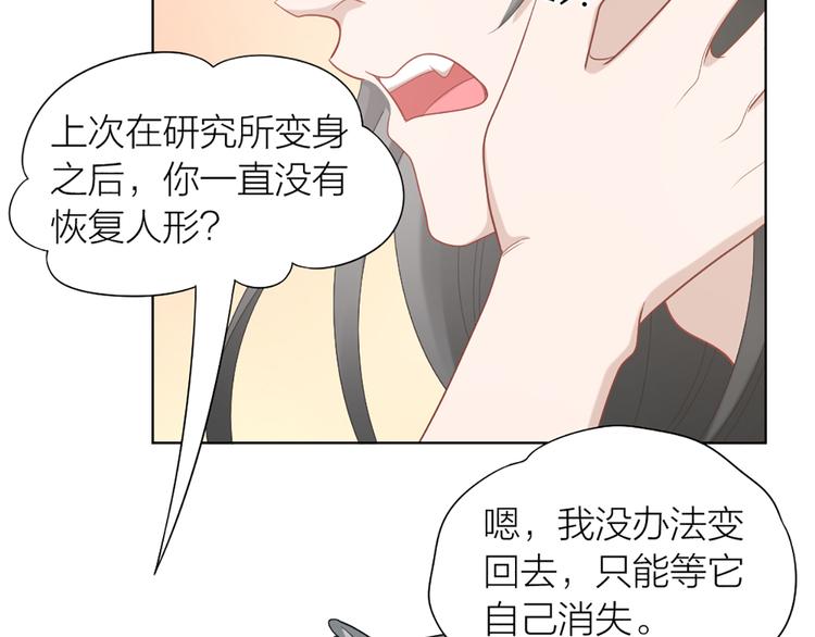 第57话 对主人的真心9