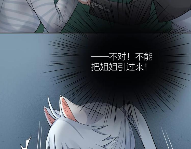 第13话 我的宠物，我来保护30
