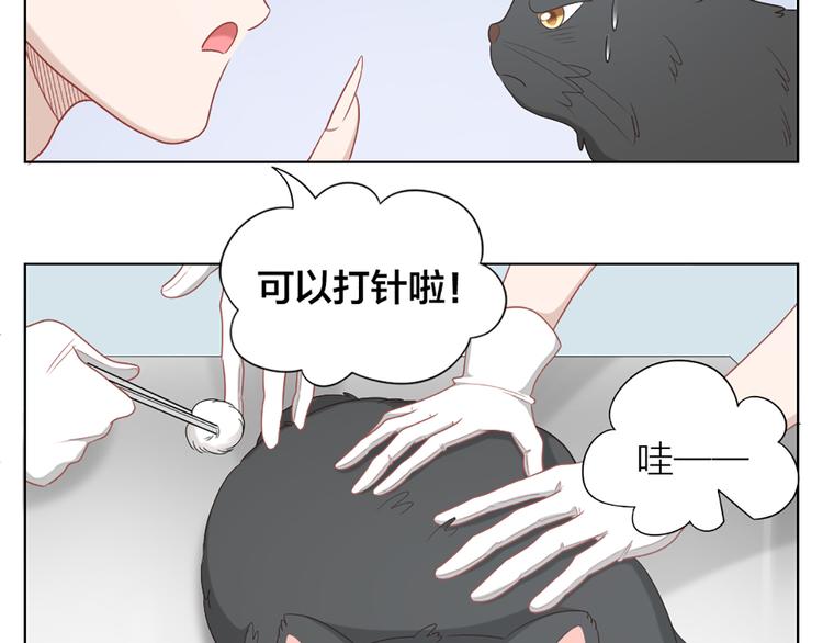 第58话 性感护工，在线撸猫51
