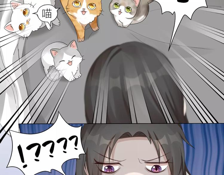 第21话 猫男的朋友们55