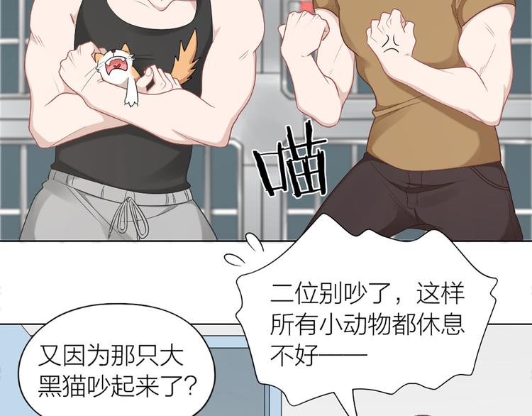 第58话 性感护工，在线撸猫40