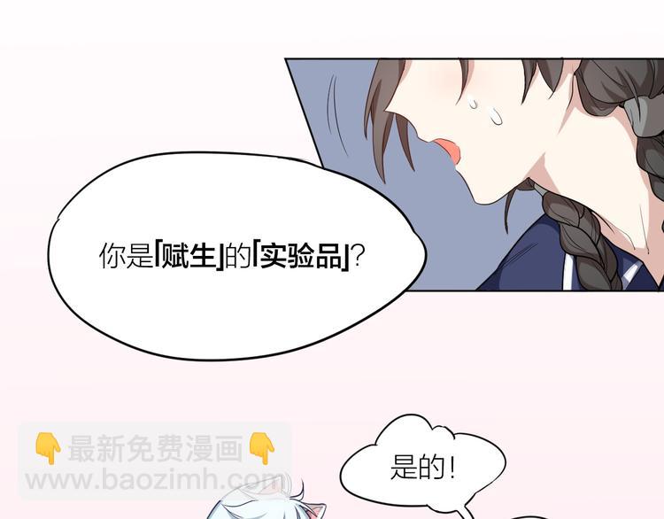 第3话 猫咪肚皮手感棒34