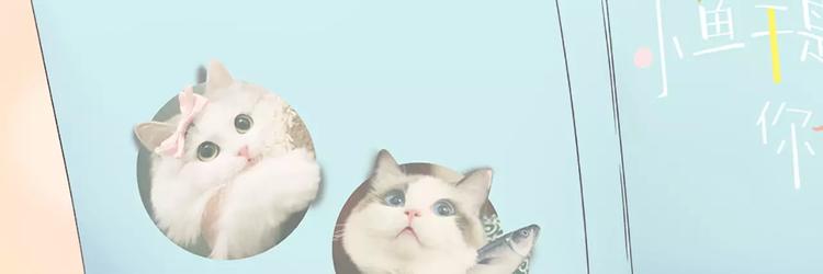 第20话 猫男的秘密27