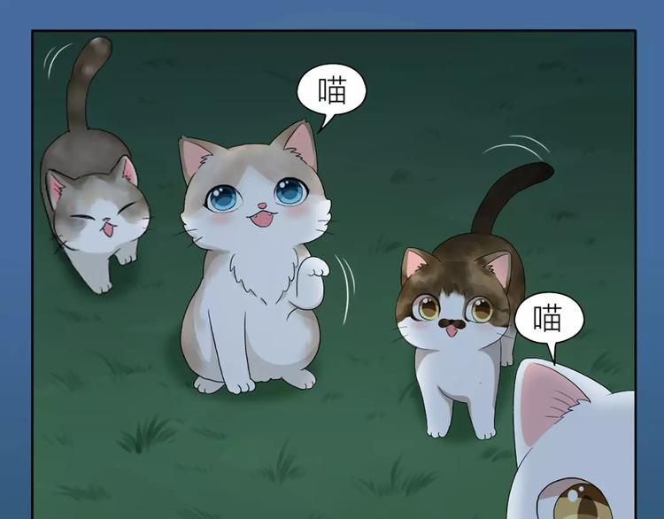 第20话 猫男的秘密39