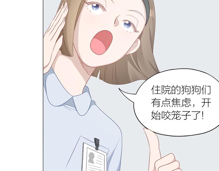 第61话 狗狗老师12