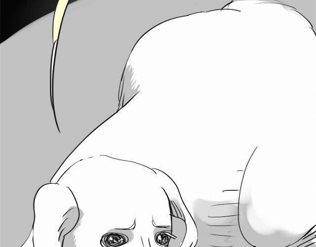 第58话 一起去散步47