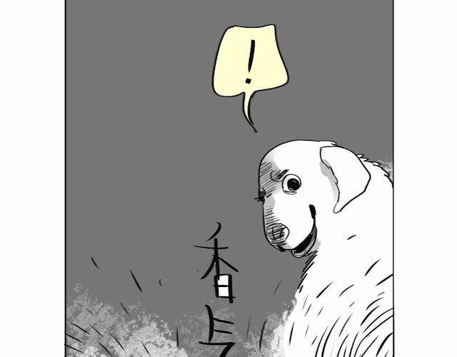 第57话 那是很早以前的事了18