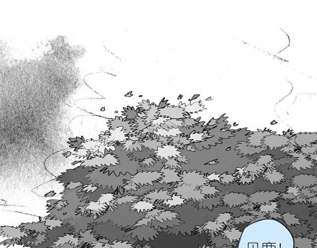 第41话 恋爱的花儿开了12