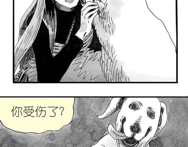 第8话 家里来了位汪星人7