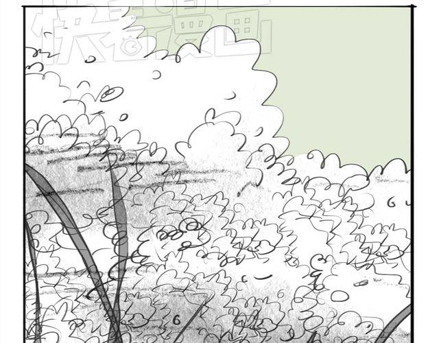 第47话 找到贝鹿了！14