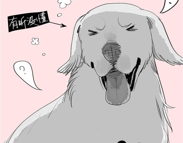 第22话 再见了哦阿汪36
