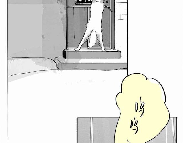 第58话 一起去散步36