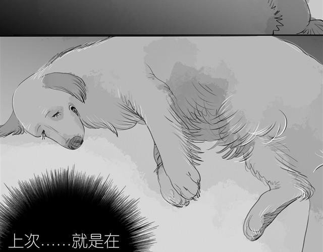 第22话 再见了哦阿汪4