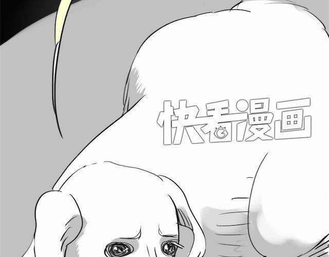 第58话 一起去散步8